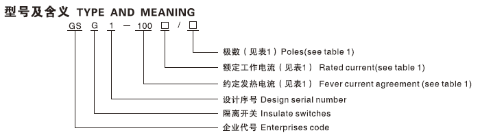  GSG1-100系列 型号含义