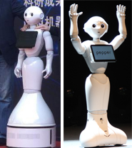 pepper