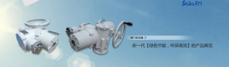 seibuִ|ʲôִ