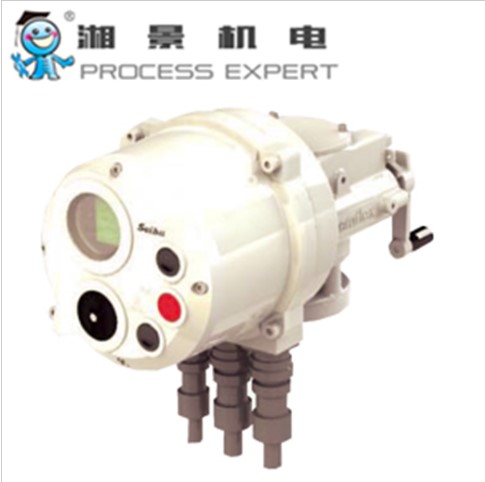 电动执行器的抗干扰技术以及它的特点!--西部seibu电动执行器 电动执行器的抗干扰技术以及它的特点!--西部seibu电动执行器