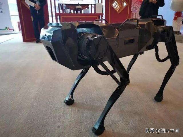 人工智能机械狗Panda5亮相北京冬奥
