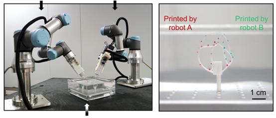 生物3D打印