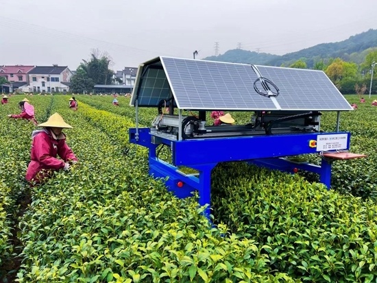 农业机器人可以采茶上线干活